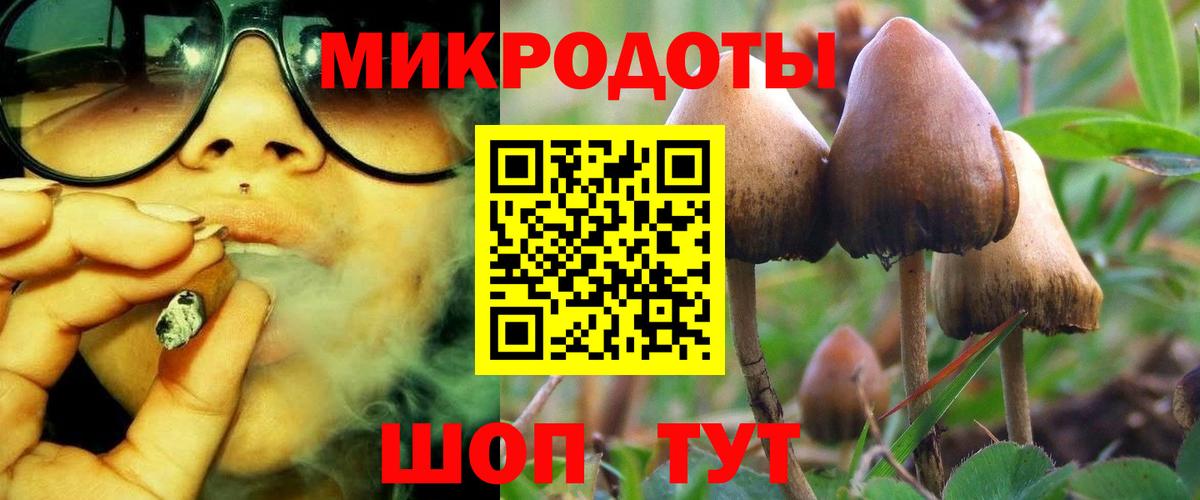 Галлюциногенные грибы Cubensis  Галлюциногенные грибы Magic Shrooms  Татарск  Вход с VPN 